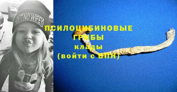 2c-b Переславль-Залесский