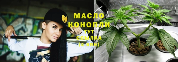 гидра Пересвет